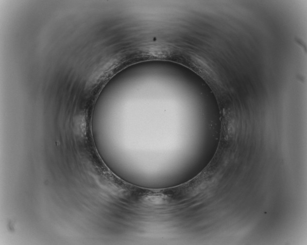 X0000102240595200807251301