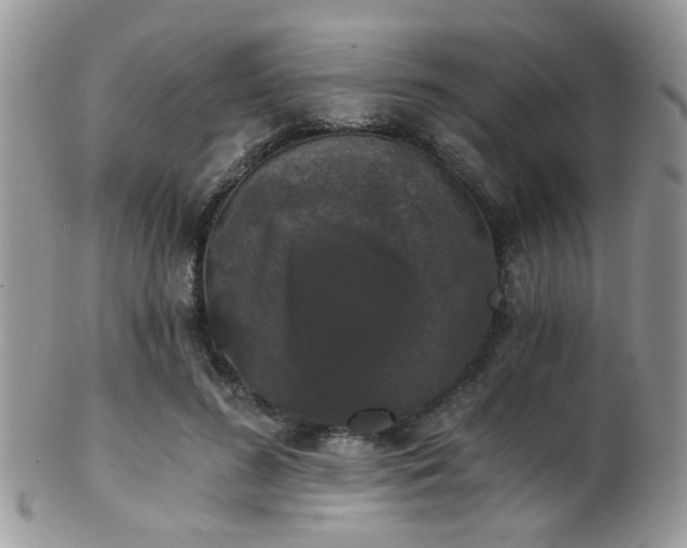 X0000102240596200807251301