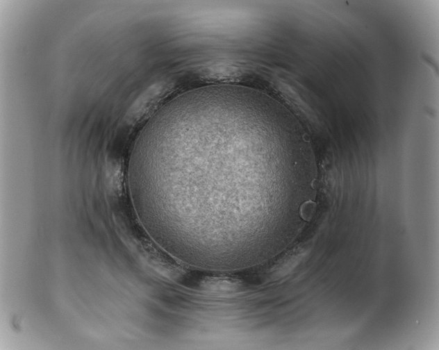 X0000102240597200807251301