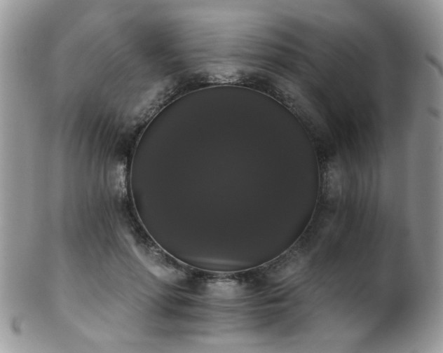 X0000102240598200807251301