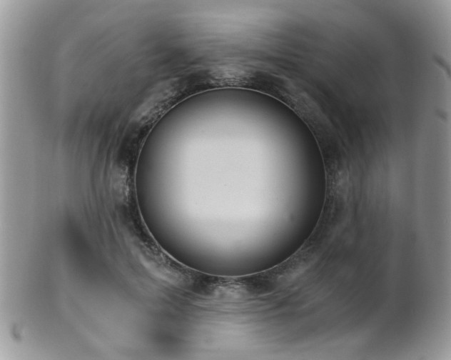 X0000102240599200807251301