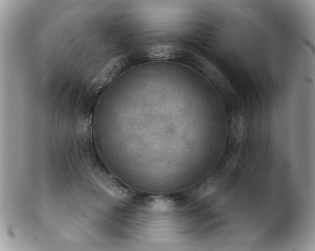 X0000102240601200807251301