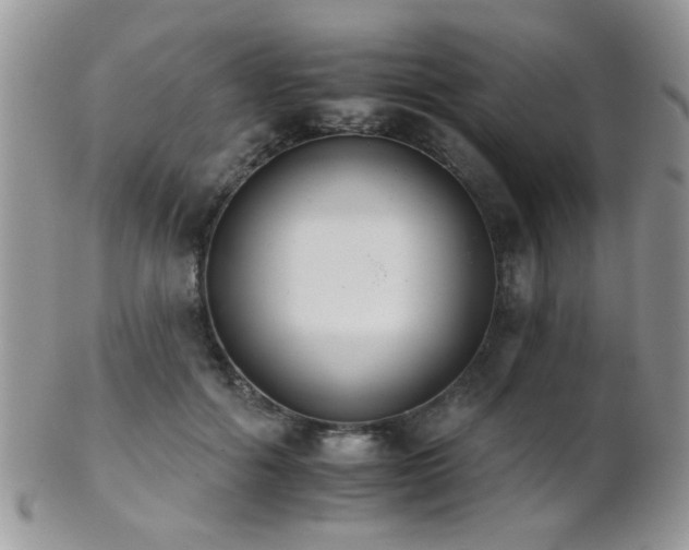 X0000102240602200807251301