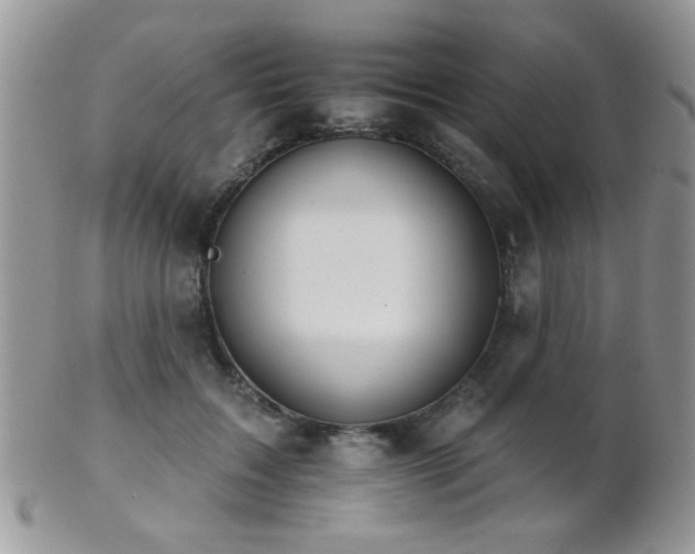 X0000102240603200807251301