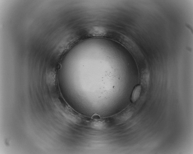 X0000102240604200807251301