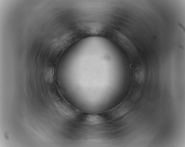 X0000102240605200807251301