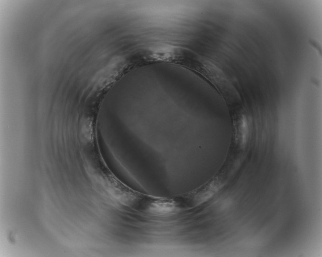 X0000102240606200807251301