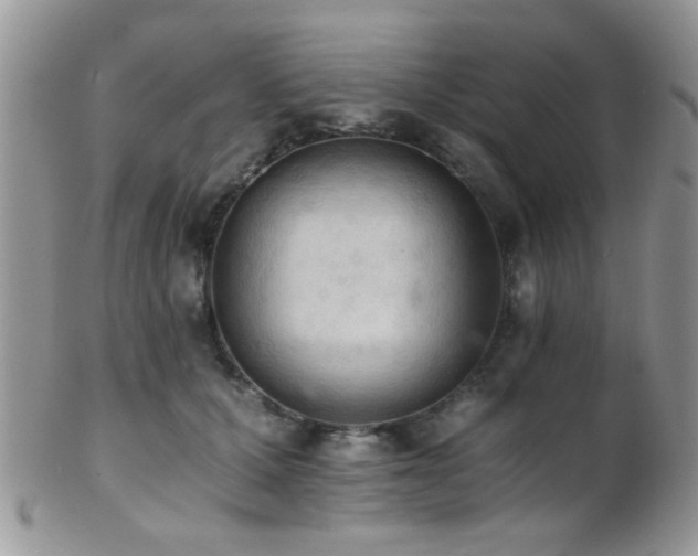 X0000102240607200807251301