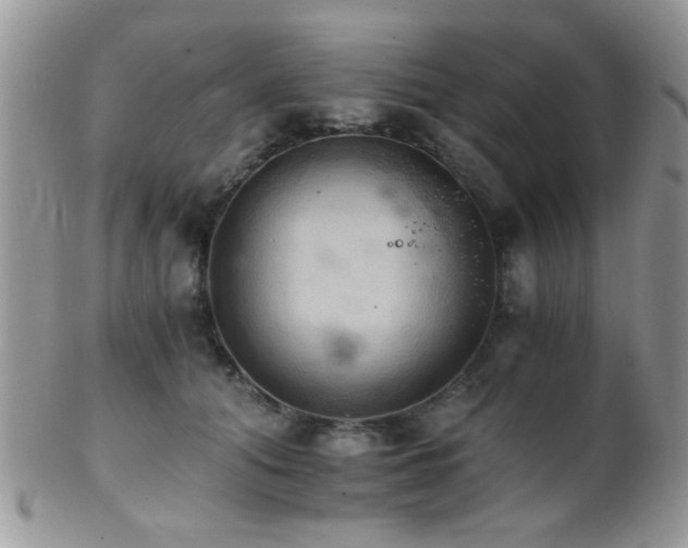 X0000102240608200807251301