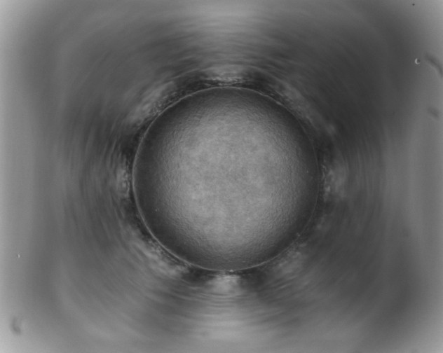 X0000102240609200807251301