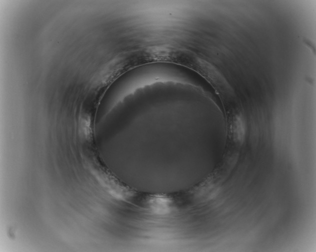 X0000102240610200807251301