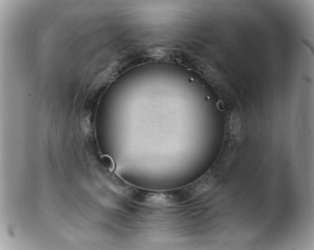 X0000102240611200807251301