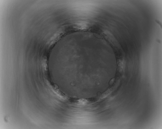 X0000102240612200807251301