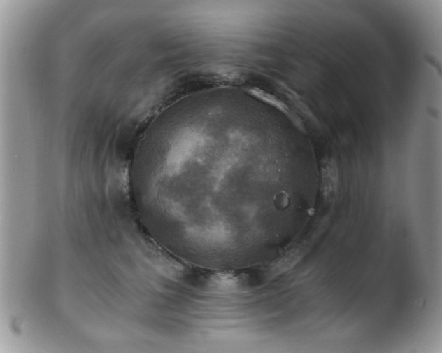 X0000102240613200807251301