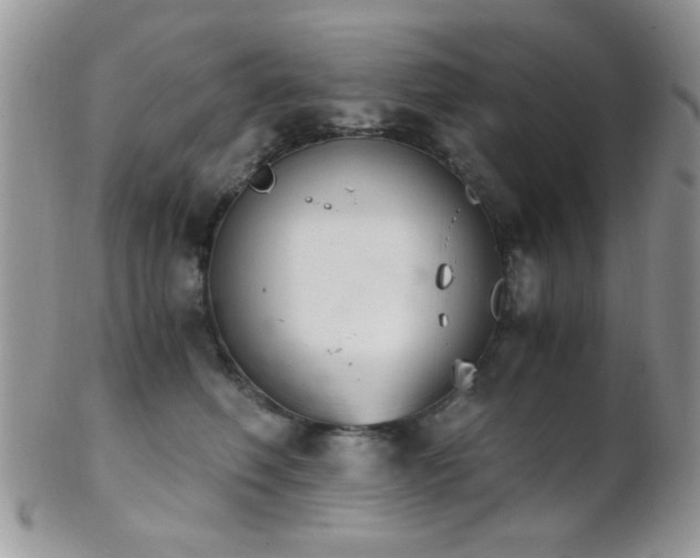 X0000102240614200807251301