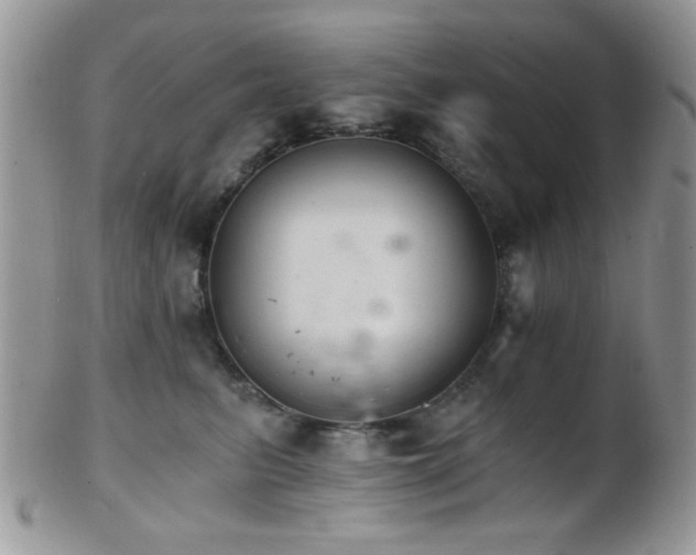 X0000102240615200807251301