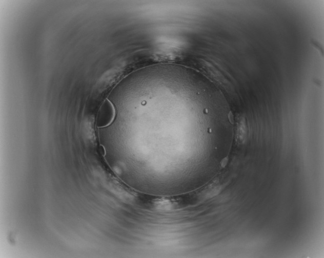 X0000102240616200807251301