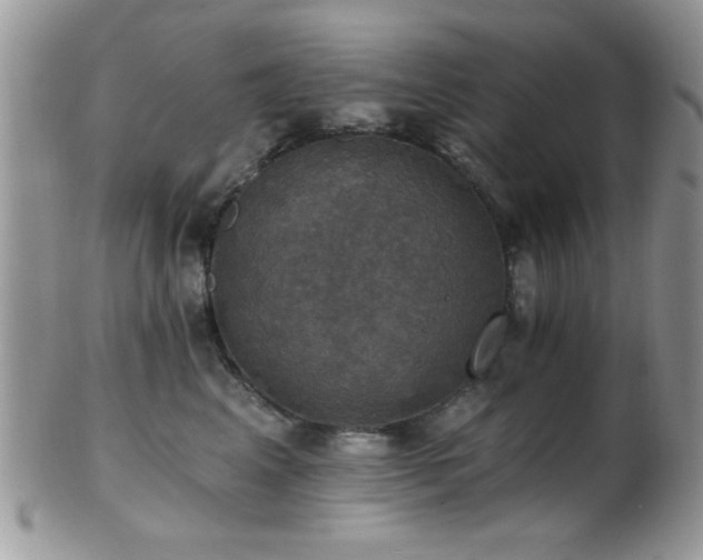 X0000102240617200807251301