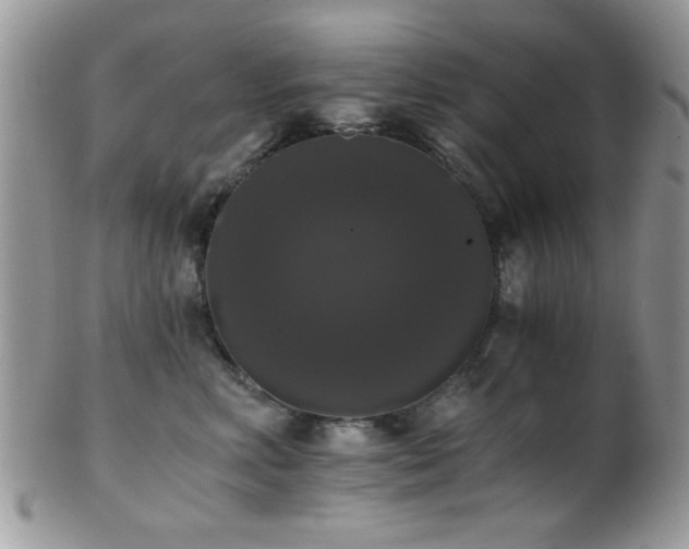 X0000102240618200807251301