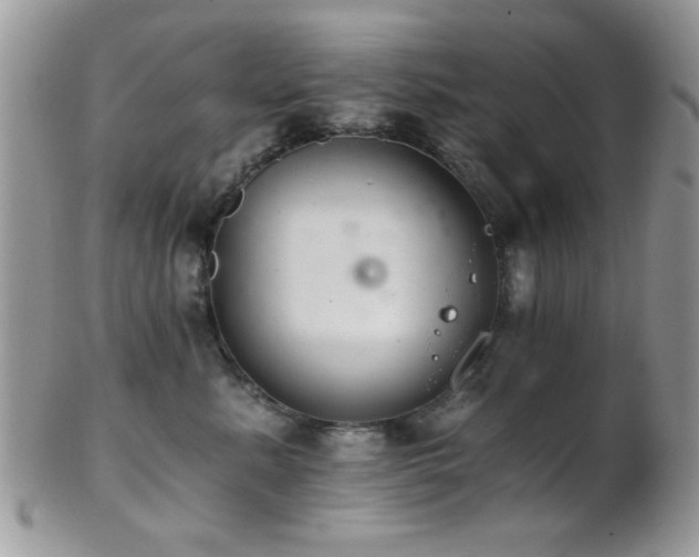 X0000102240619200807251301