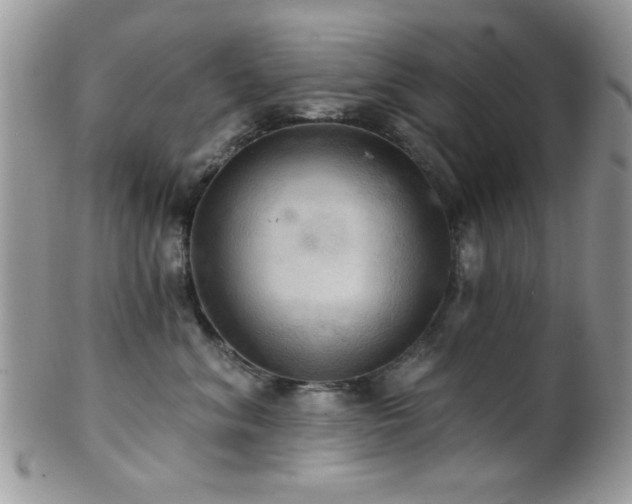 X0000102240620200807251301