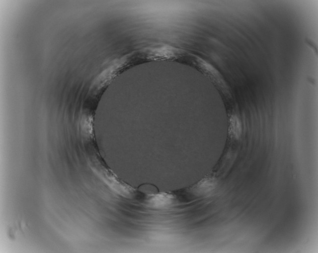 X0000102240621200807251301