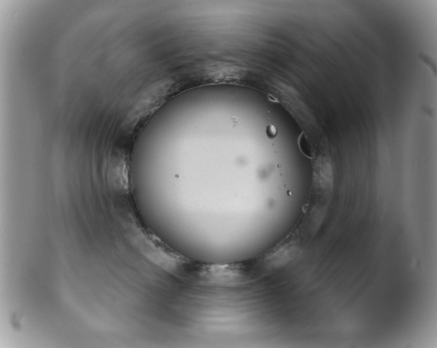 X0000102240622200807251301