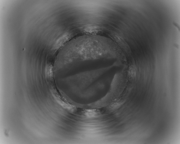 X0000102240623200807251301