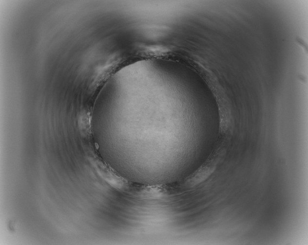 X0000102240624200807251301