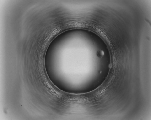 X0000102240625200807251300