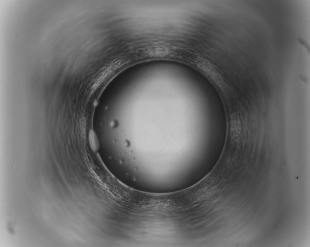 X0000102240626200807251300