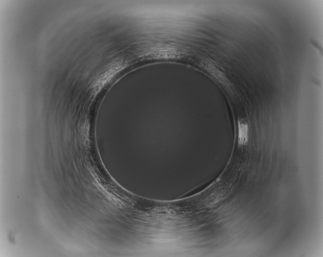 X0000102240627200807251300