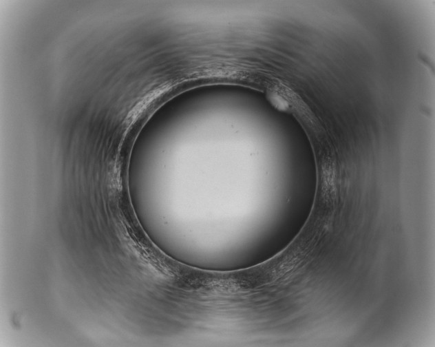 X0000102240628200807251300