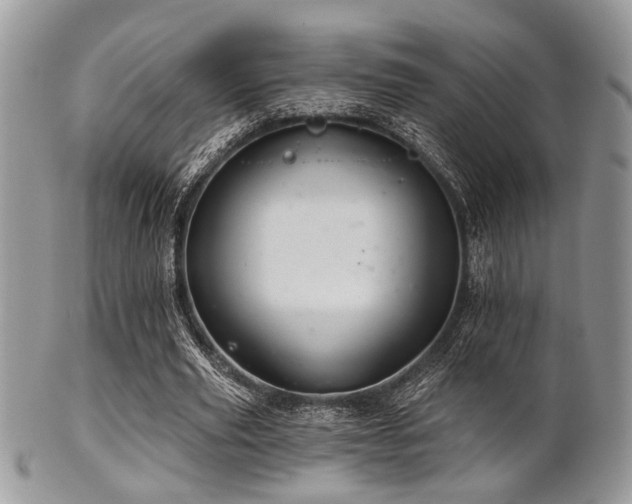 X0000102240629200807251300