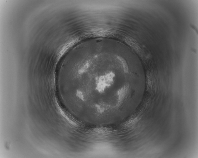 X0000102240630200807251300