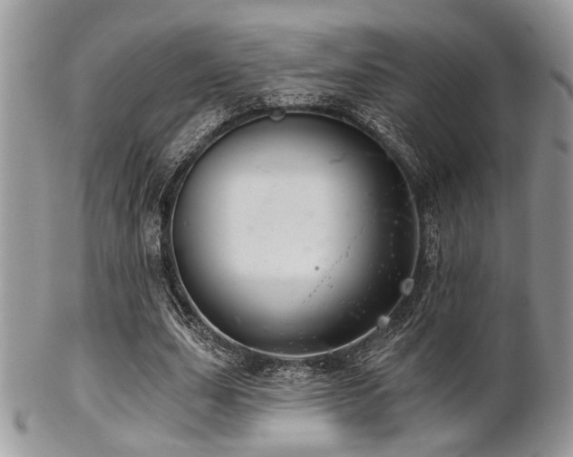 X0000102240631200807251300