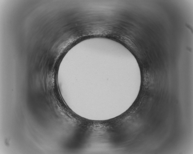 X0000102240632200807251300