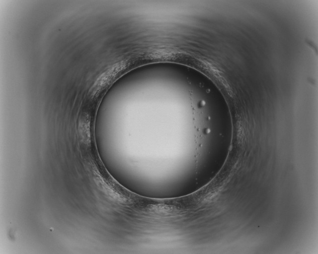 X0000102240633200807251300