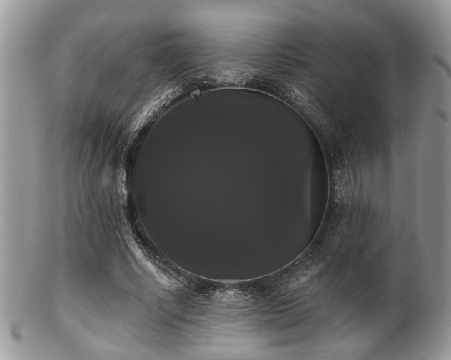 X0000102240634200807251300