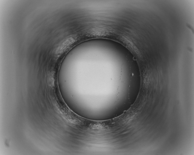 X0000102240635200807251300