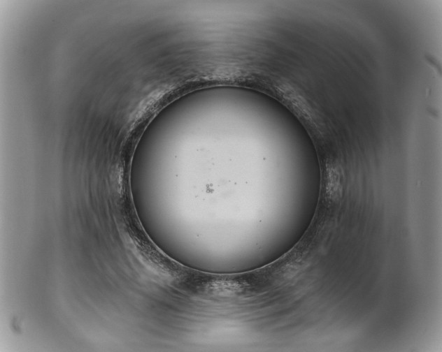 X0000102240636200807251300