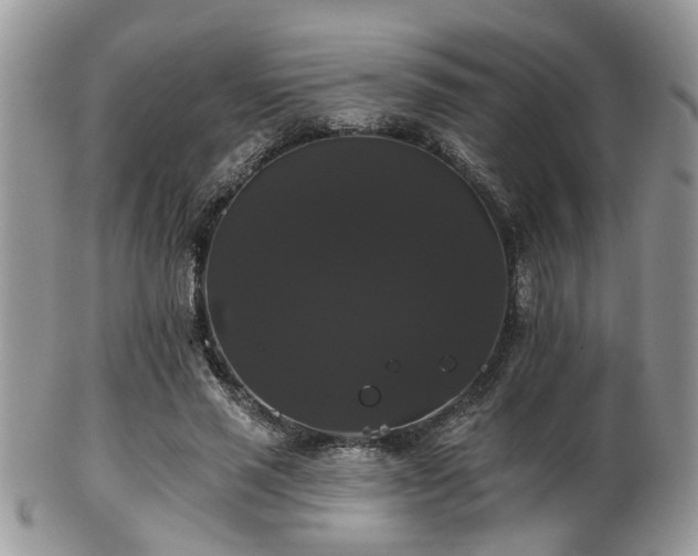 X0000102240637200807251300