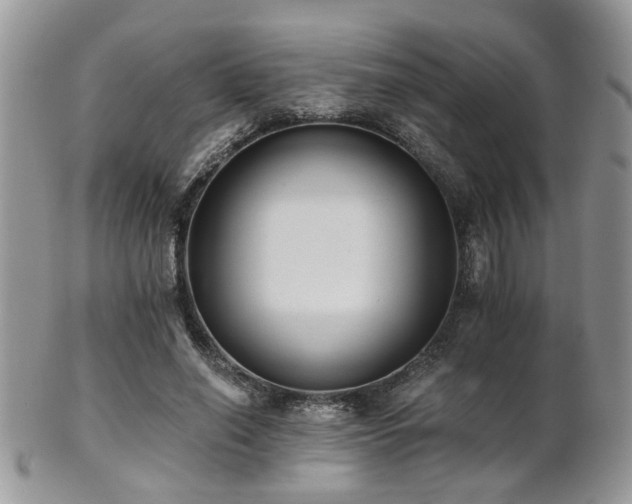 X0000102240638200807251300