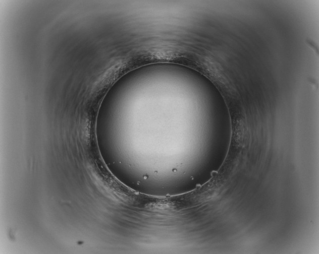 X0000102240639200807251300