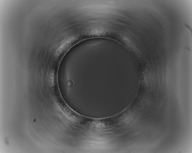 X0000102240640200807251300