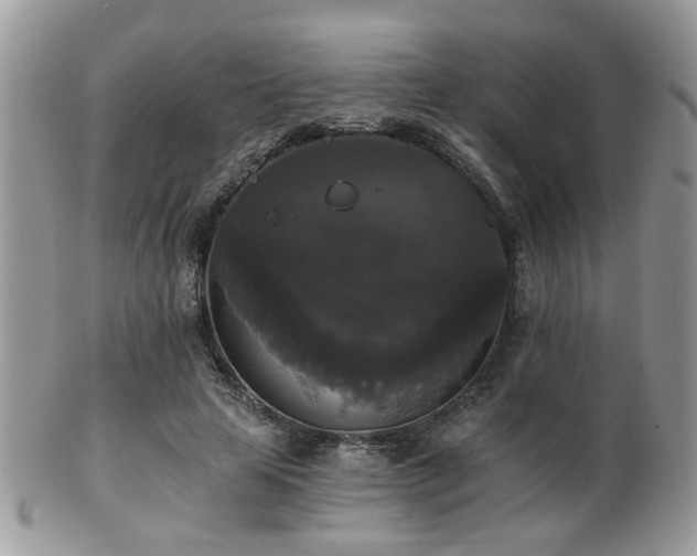 X0000102240641200807251300