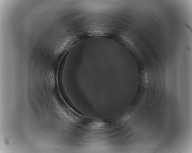 X0000102240642200807251300