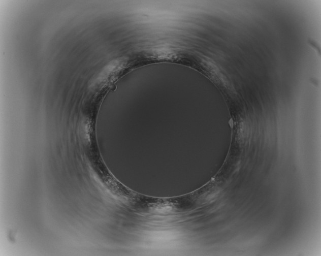 X0000102240643200807251300