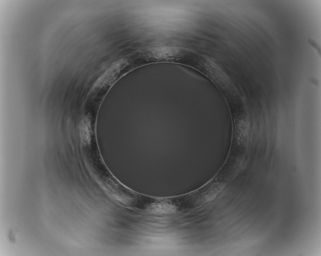 X0000102240644200807251300