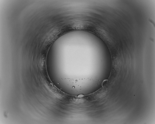 X0000102240645200807251300